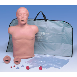 Fantom CPR BRAD tors szkoleniowy
