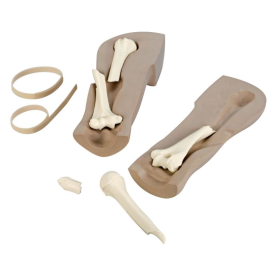 Fantom do obrazowania złamań 