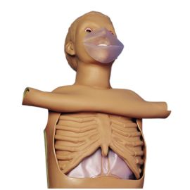 CPR wyświetlacz pokazujący rytm i głębokość ucisków przy masażu serca i sztucznego oddychania do Fantom osoby dorosłej do nauki resuscytacji