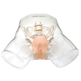 Fantom przeźroczysty do nauki cewnikowania damski