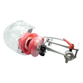 Fantom stomatologiczny głowa