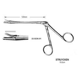 Kleszczyki nosowe Struycken, fig.1 długość 19cm