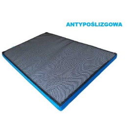 Mata dezynfekcyjna, antypoślizgowa  - różne rozmiary