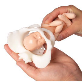 Miniaturowy model miednicy żeńskiej z płodem