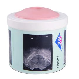 Model do nauki badania prostaty P58/1