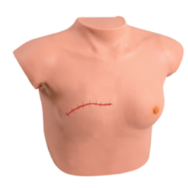 Model do badania piersi i opieki pooperacyjnej po mastektomii