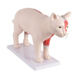 Model kota rozkładany