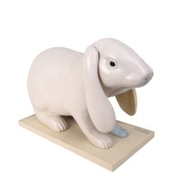 Model królika rozkładany