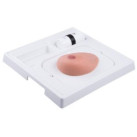 Model piersi SONOtrain z cystami do iniekcji