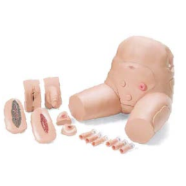 Model pośladków do cewnikowania , lewatywy i wkłuć