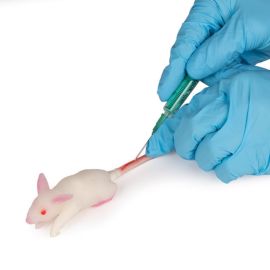 Model symulacyjny myszy