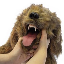 Rocky – fantom psa do nauki pozycjonowania