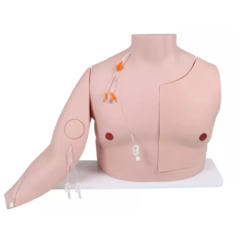 Symulator dostępu naczyniowego Vascular Victor