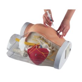 Symulator iniekcji pośladka z sygnalizacją świetlną i dźwiękową