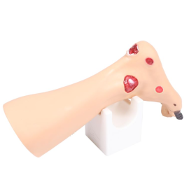 Trenażer stopy z ranami Wanda