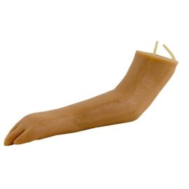 Trenażer weterynaryjny łapa psa