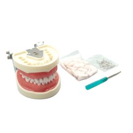 Zestaw uzupełniający - szczęka i zęby