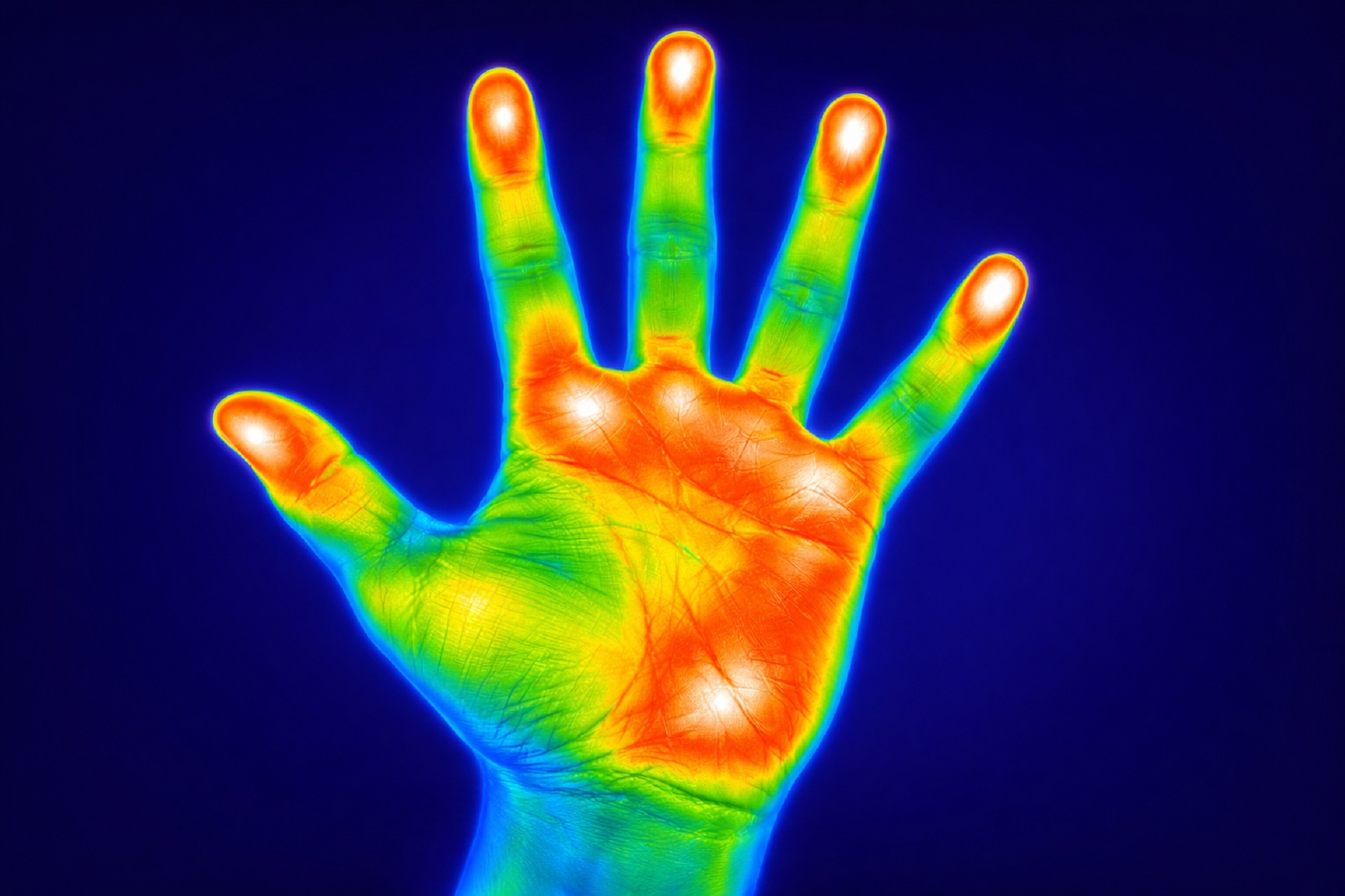 Wizualizacja temperatury ciała - jak działa termografia w medycynie