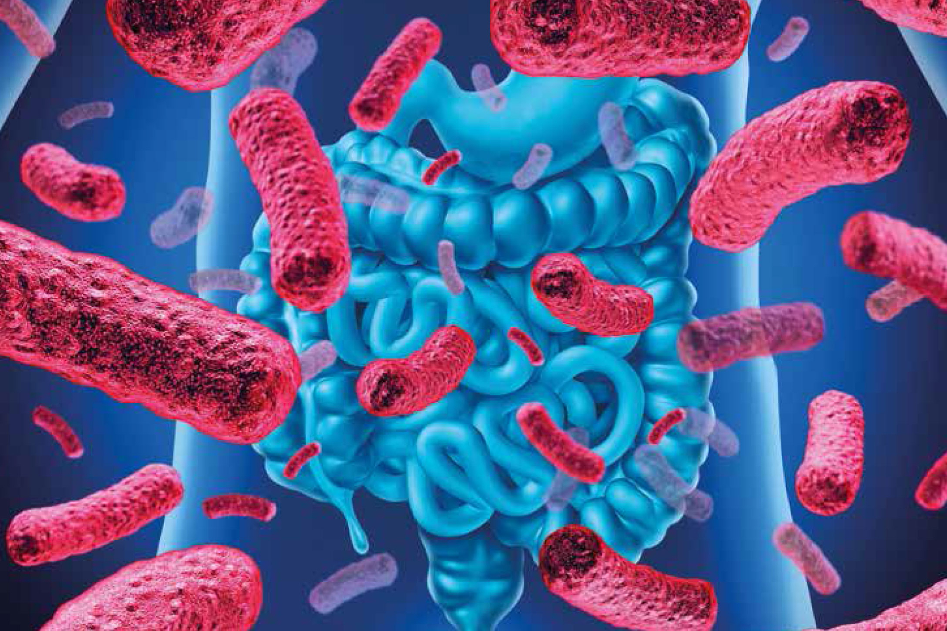 Mikrobiota jelitowa a odporność organizmu