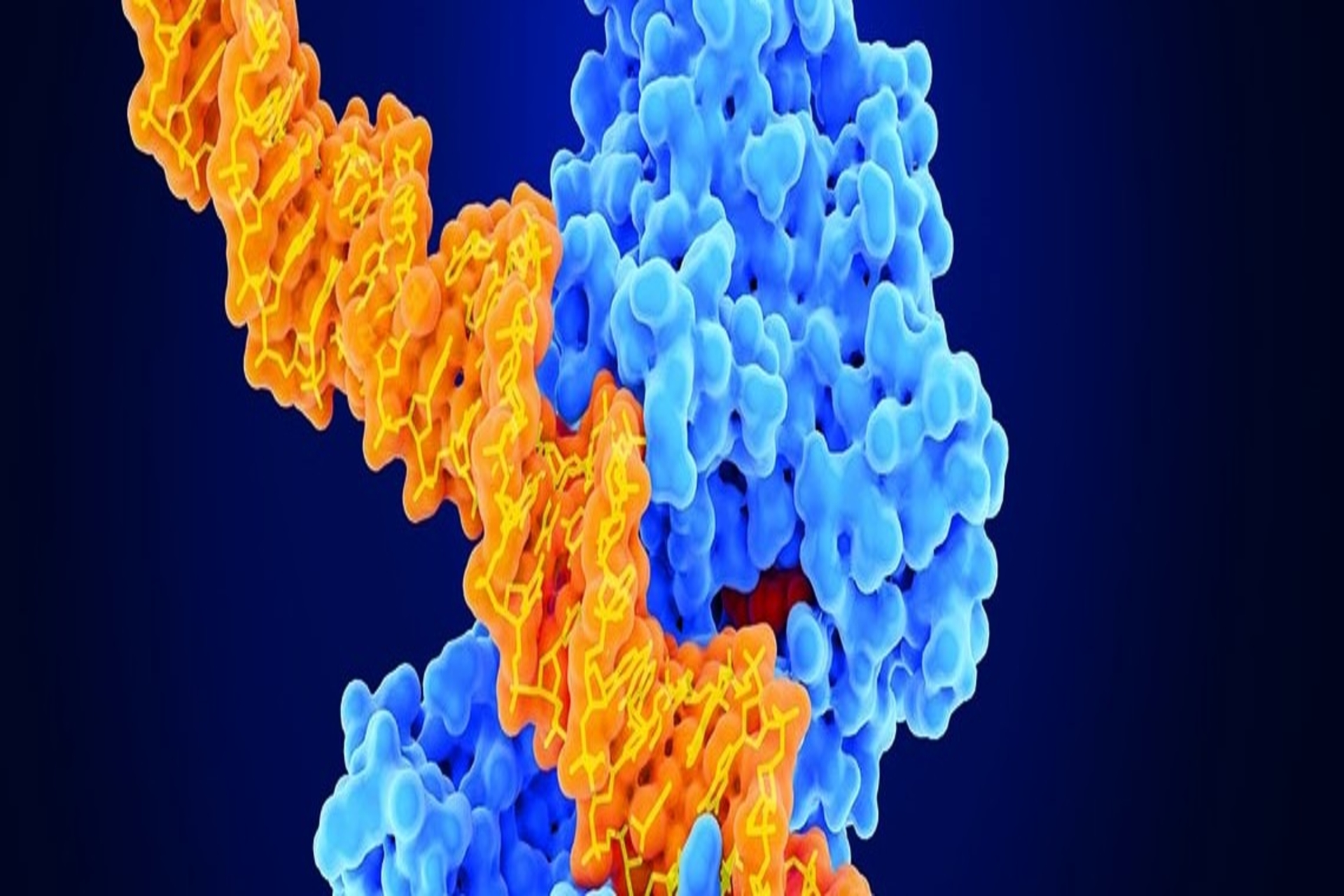 Biomarkery w onkologii – przyszłość spersonalizowanej medycyny