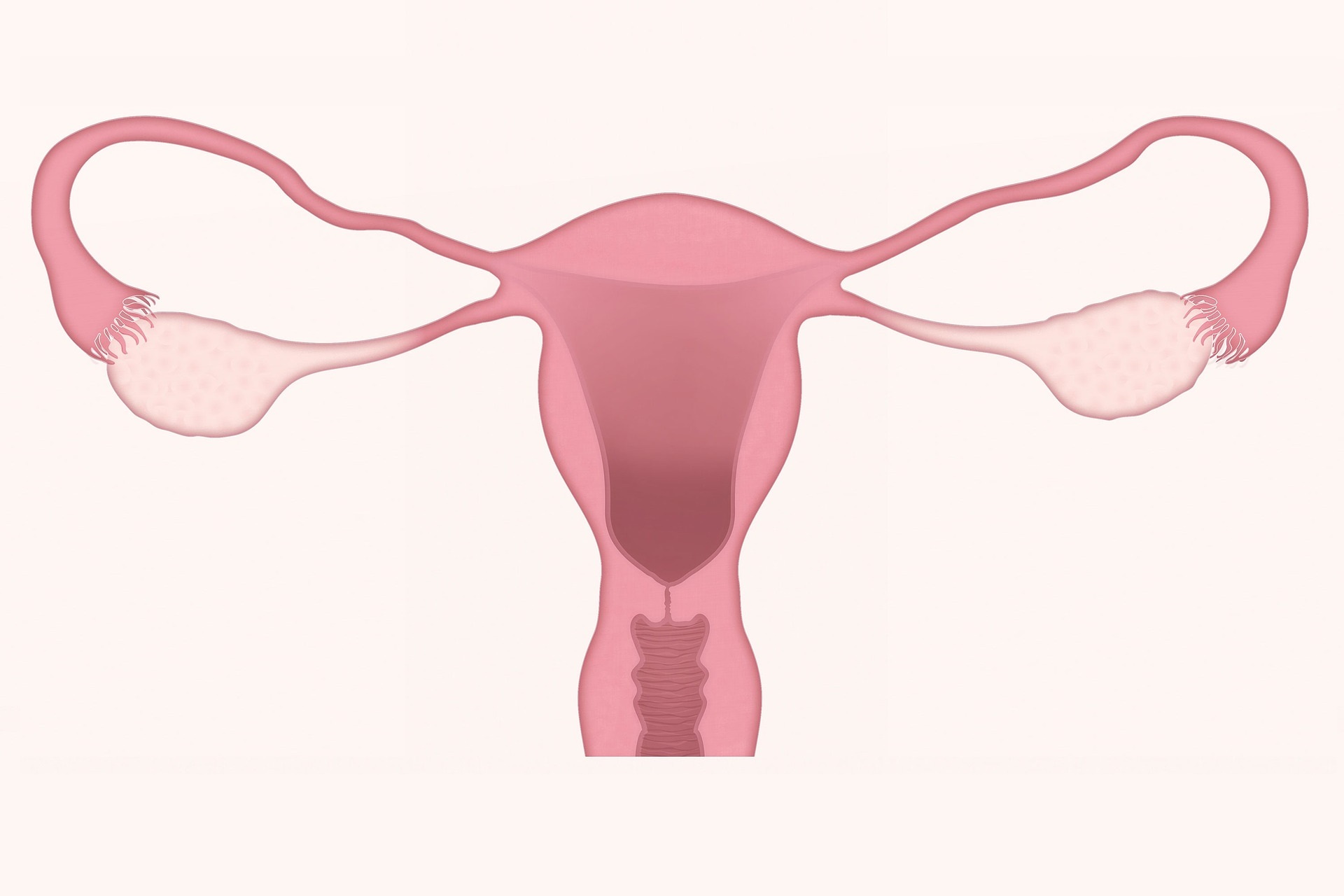 Biopsja aspiracyjna endometrium - na czym polega i jak się ją przeprowadza?