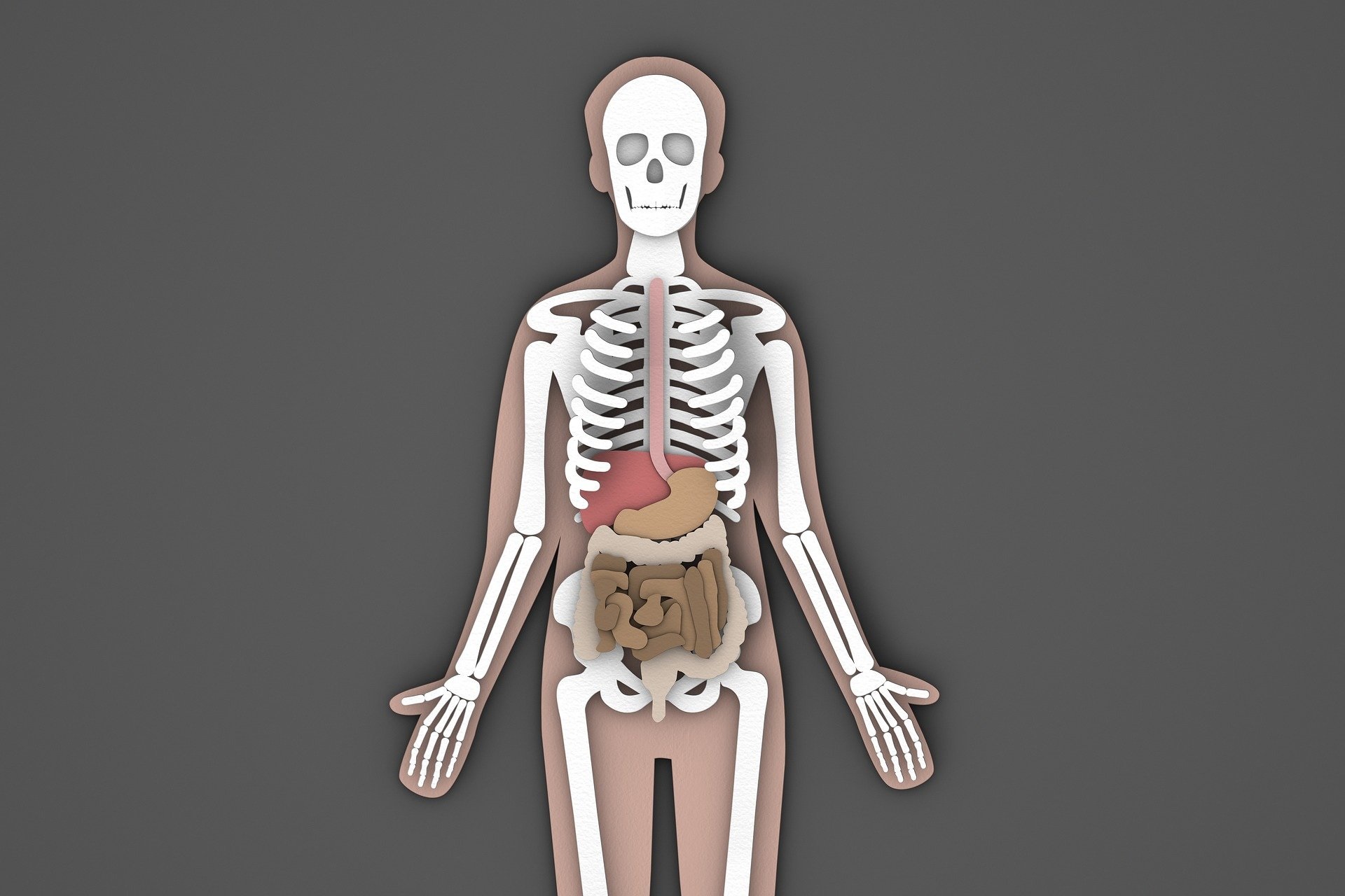 Hepatitis – wirusowe zapalenie wątroby (A, B, C, D, E)