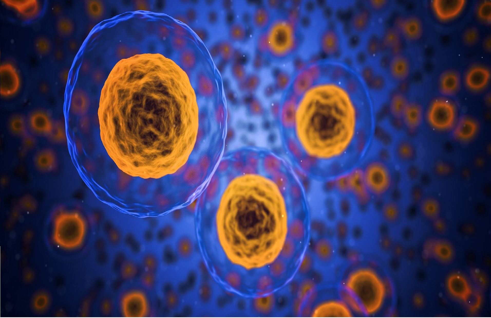 Histiocytoza – choroba rzadka, ale nie „tajemnicza”