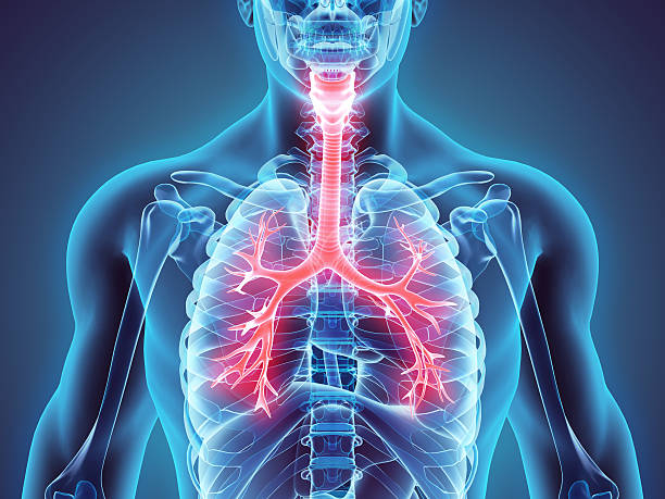 Bronchoskopia – okno do wnętrza dróg oddechowych