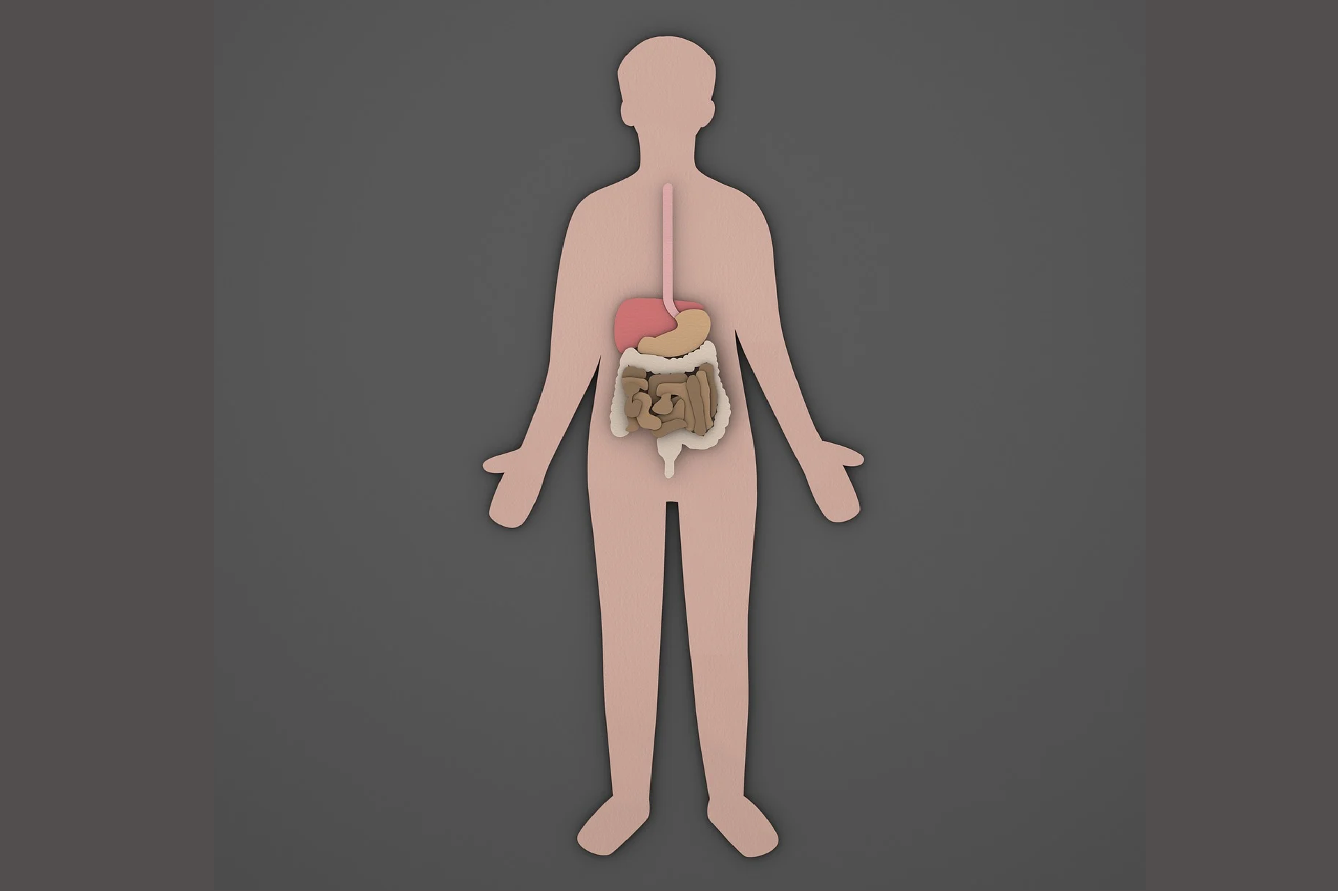 Infekcyjne zapalenie jelit