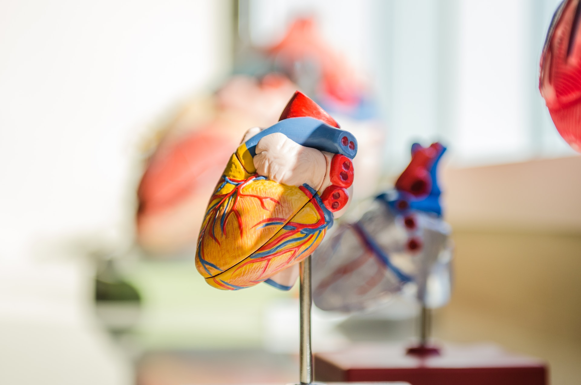 Rozwarstwienie aorty brzusznej - objawy i sposób działania