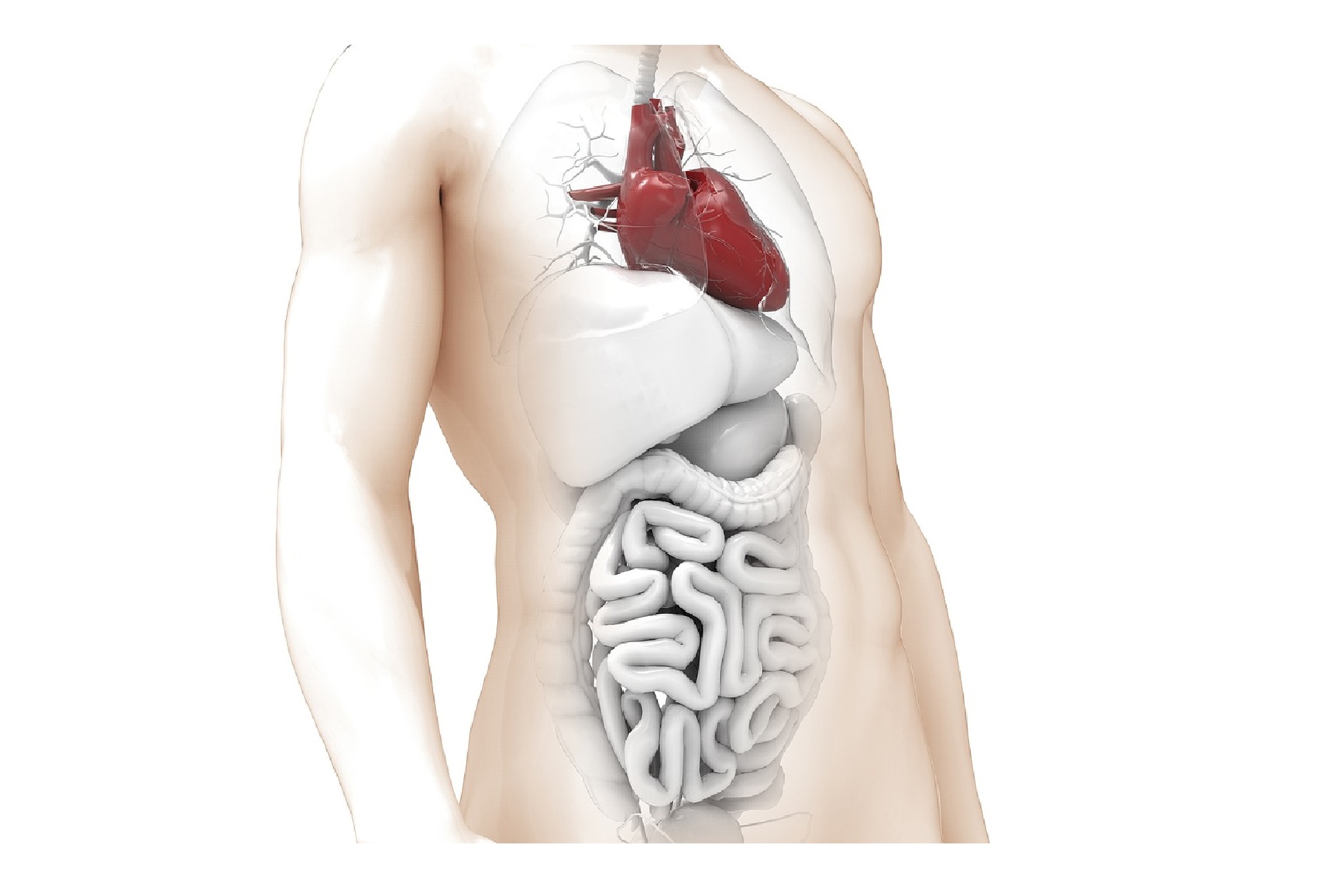 Helmintiozy – choroby pasożytnicze, które wciąż pozostają wyzwaniem