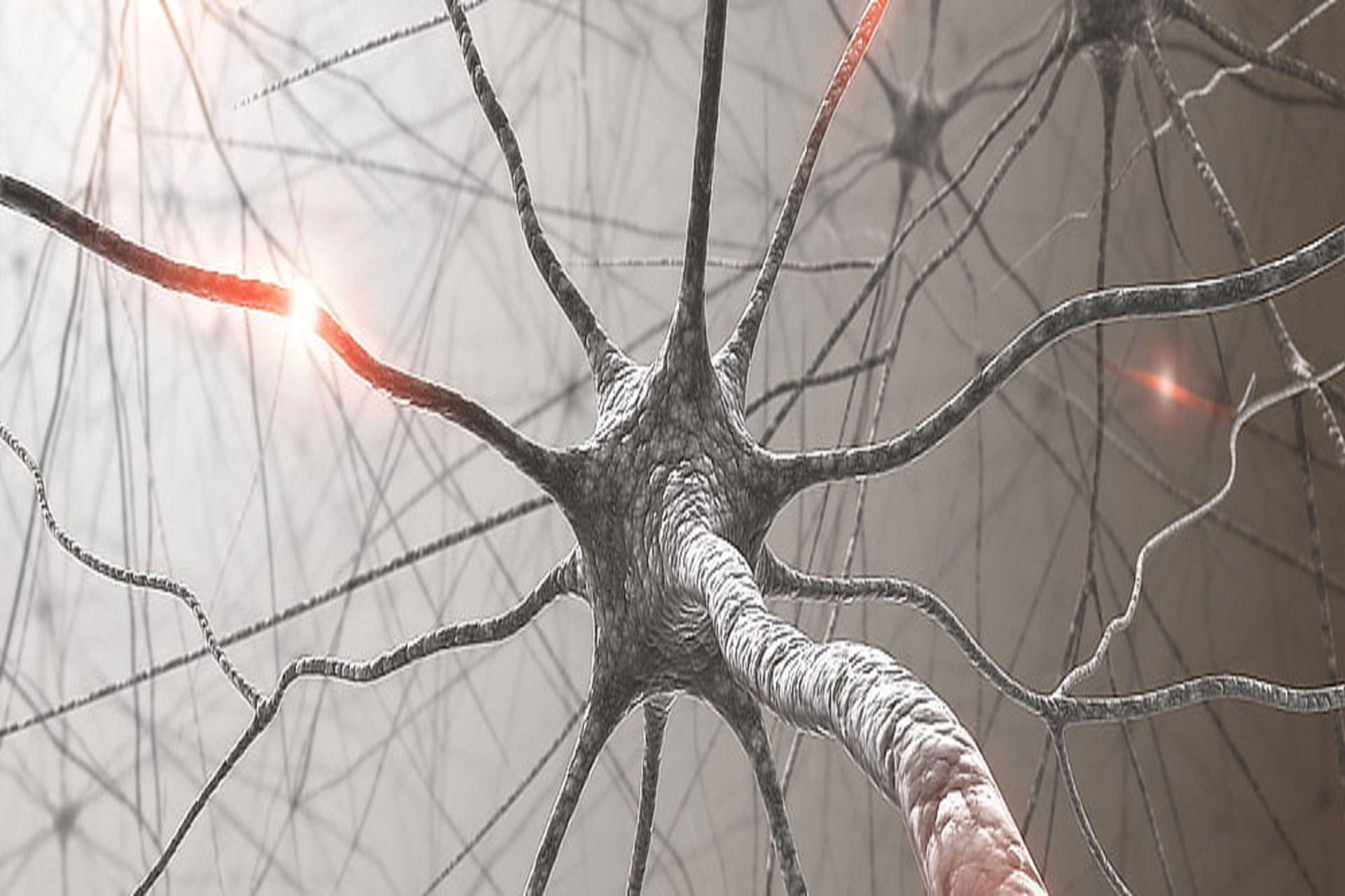 Zaburzenia neurorozwojowe — wczesna diagnostyka i interwencja