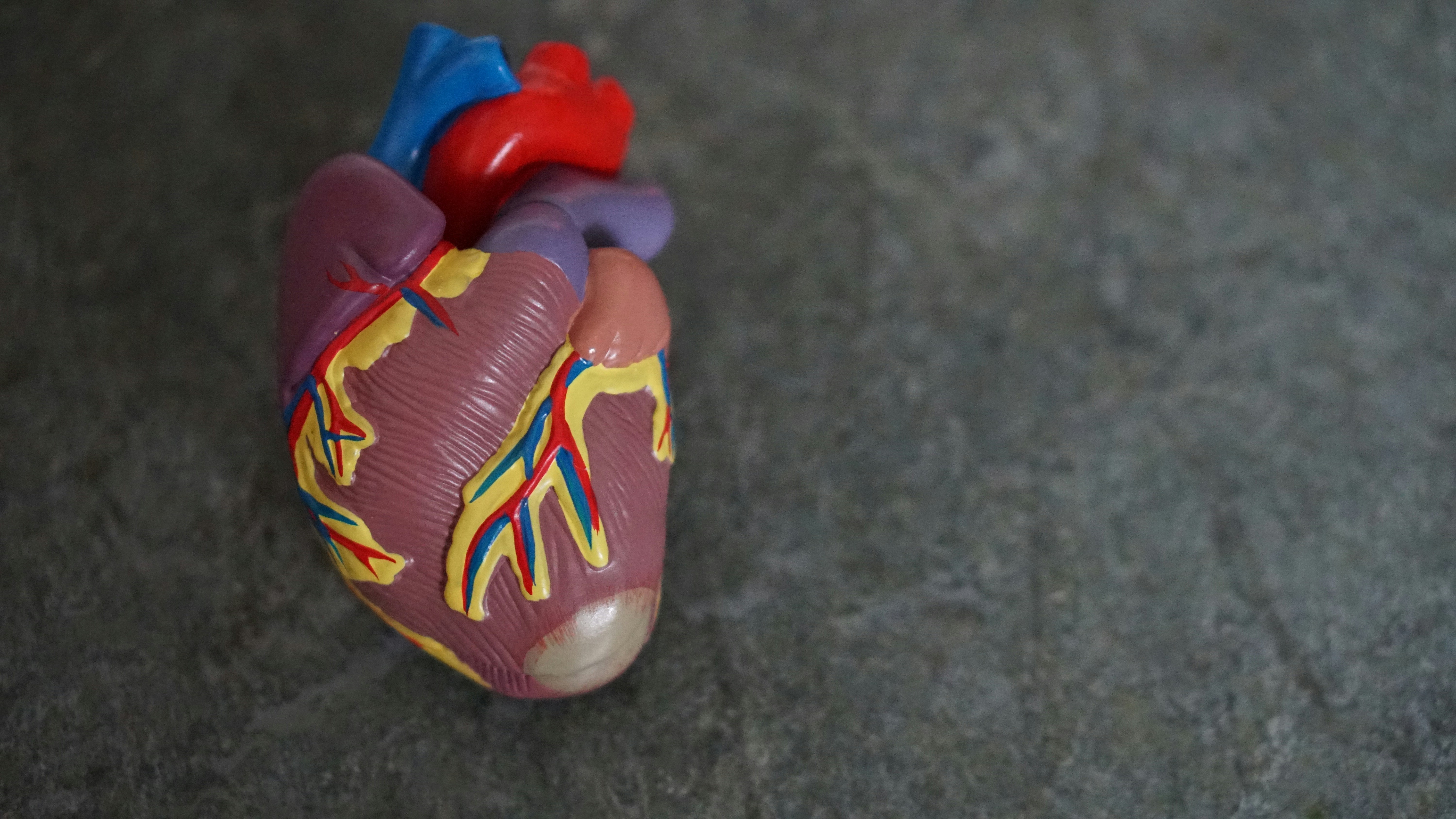 Protezy i zastawki serca - technologia ratująca życie