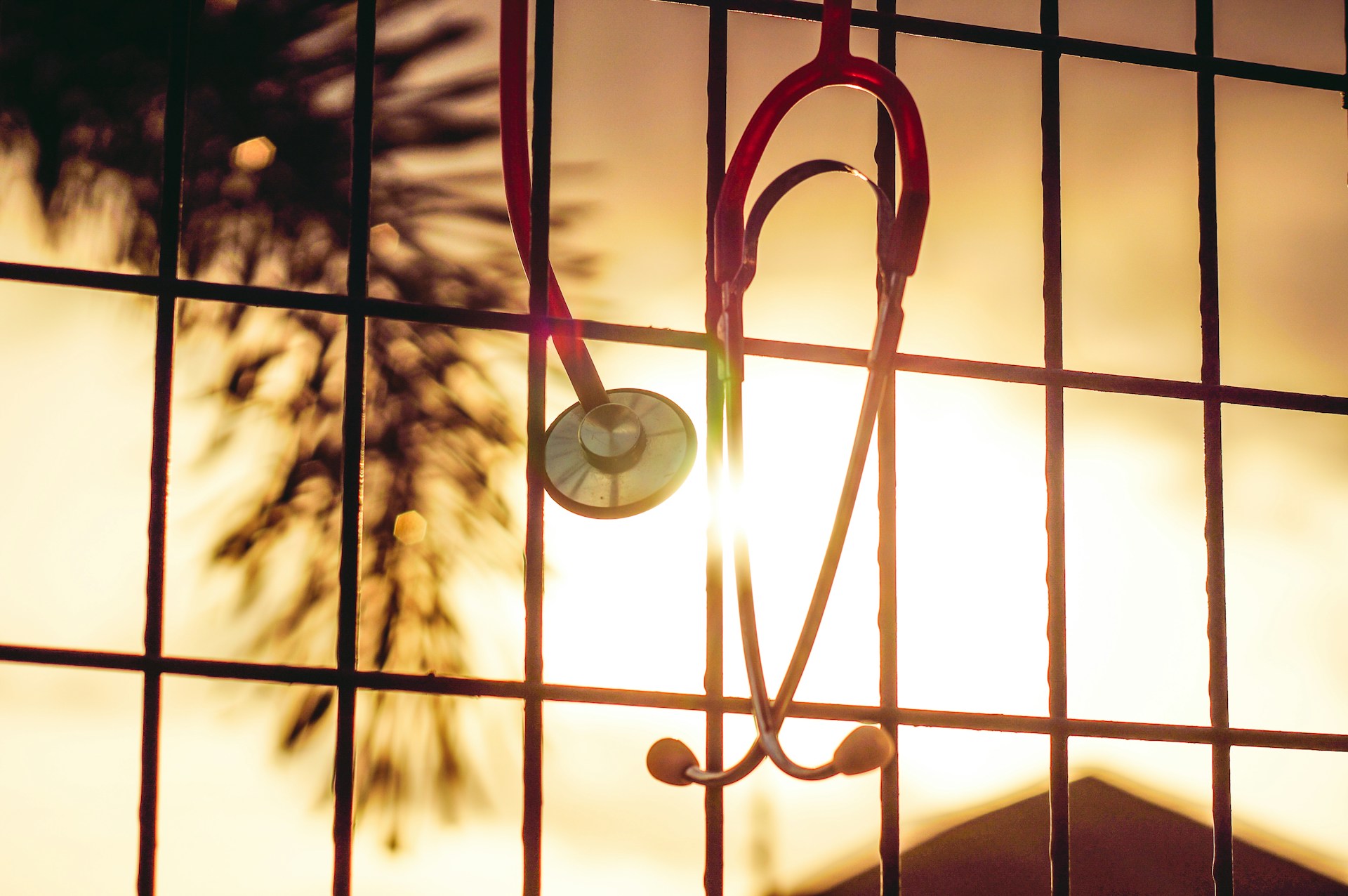 Stetoskop internistyczny, pediatryczny i kardiologiczny – czym się różnią?