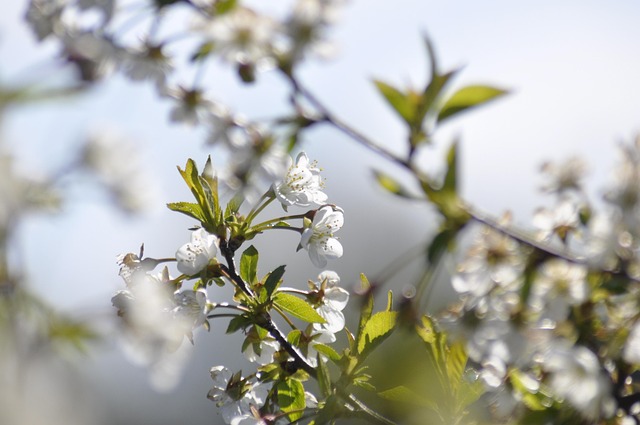 Przeszczep osobowości - czy to w ogóle możliwe? 